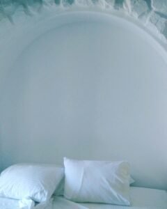 bed bugs in bed