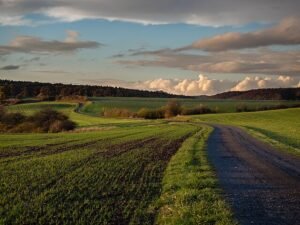 integrated pest management IPM