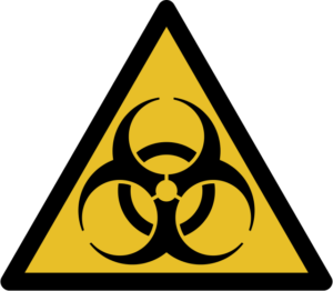 most deadliest bugs in the world quiz,pest quiz, bugs quiz, insect quiz