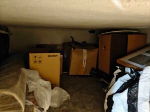 european hornet nest removal from an attic